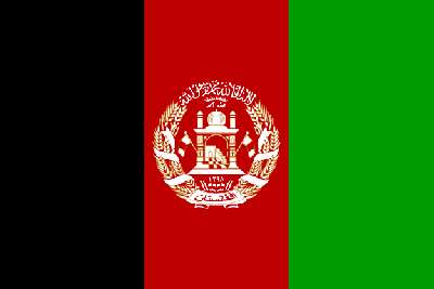 アフガン過激派、国際部隊との戦闘で１００人以上死亡